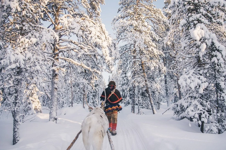 Sami Rentier Schweden Lappland Wolters Rundreisen