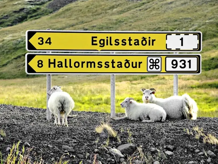 Wolters Rundreisen Island Ostfjorde