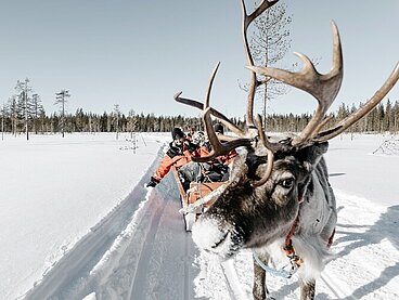 Winterreisen Finnland Wolters Rundreisen