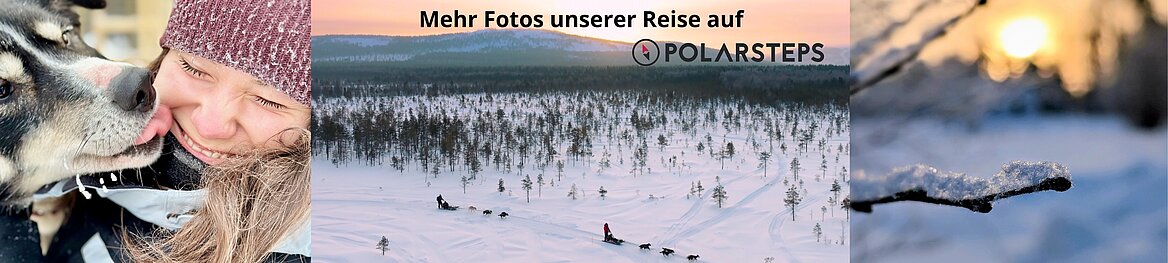 Link Polarsteps Finnisch Lappland Wolters Rundreisen