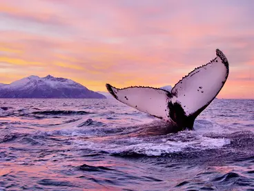 Winterreisen Norwegen Wolters Rundreisen