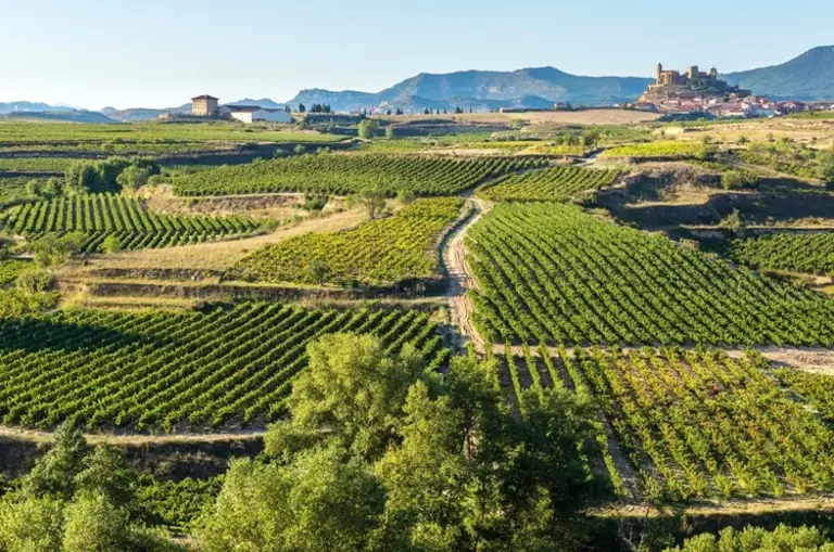 Weinregion La Rioja in Nordspanien - Wolters Rundreisen