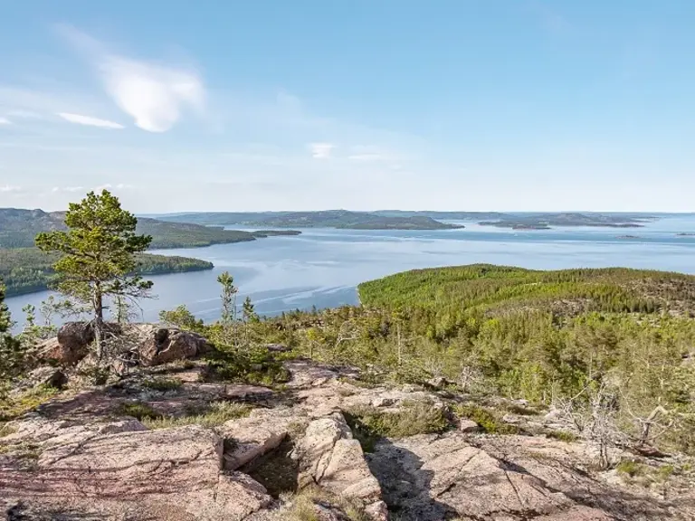 Höga Kusten in Schweden Wolters Rundreisen