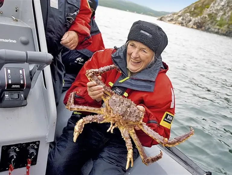 Koenigskrabbensafari Norwegen